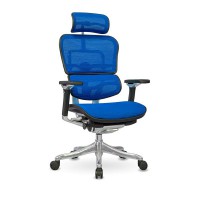 Крісло комп'ютерне ERGOHUMAN PLUS COMFORT SEATING сітчасте