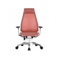 Крісло комп'ютерне ERGOHUMAN MESH COMFORT SEATING сітчасте