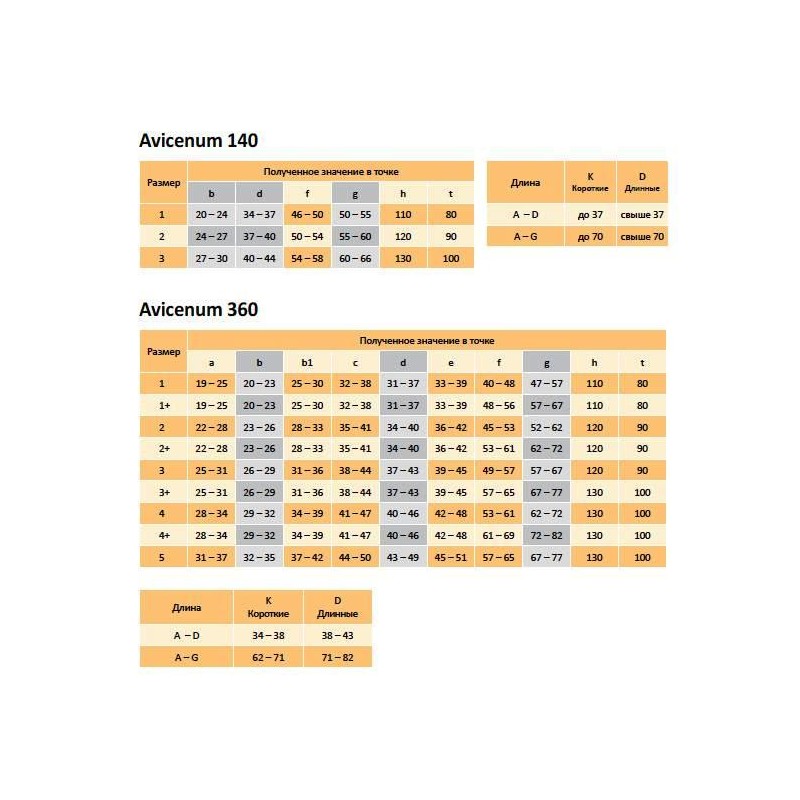 Розмірна сітка