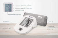 Тонометр автоматический B.Well PRO-33 M с манжетой 22-32 см (Швейцария)