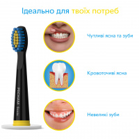 Насадки для електричної зубної щітки PECHAM Black Travel