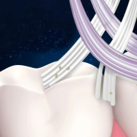 Зубна щітка Oral-B 3D White Pro-Expert Екстрачистка Eco Edition середня жорсткість
