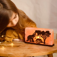 Соляной светильник Saltlamp 'Африка' 2 кг