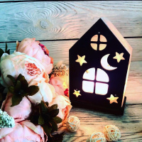 Соляний світильник Saltlamp «Будинок № 1» 1,5 кг