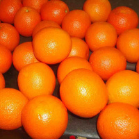 Апельсиновое масло Flora Secret 25 мл