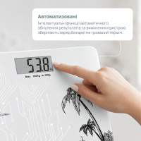 Электронные напольные весы B.Well PRO-165 чёрные (Швейцария)