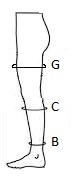 panchohi_size.png